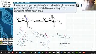 TEMA 22 CARBOHIDRATOS  227 EFECTO ANOMÉRICO [upl. by Aicilanna172]