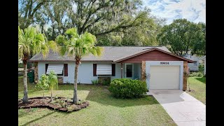 Zephyrhills FL Real Estate Photography  For Sale 39624 Meadowood Loop Zephyrhills FL 33542 [upl. by Wilonah]