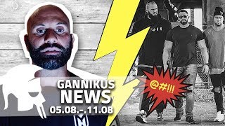 News  Stofftiere fordern Hardgainer auf Videos zu löschen Dennis James teilt aus gegen Steve uvm [upl. by Ancier]