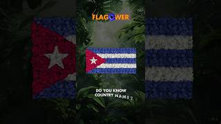 Countries Flag but Flower comparison flags flowers [upl. by Nawad65]