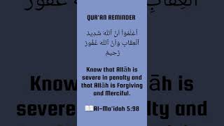 Quran Surah AI Maidah 598 [upl. by Anyehs]