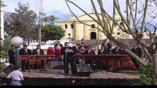 Marimba Maderas Chapinas  Concierto Color y Folklore Guatemalteco Vol 1 [upl. by Reeva]