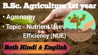 Nutrient Use Efficiency  Agronomy  BSc Agri 1st year  Explained in both English amp Hindi [upl. by Heyman]