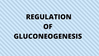 regulation of gluconeogenesis [upl. by Arres534]