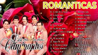 VIEJITAS PERO BONITAS ROMANTICAS CAMINANTES  LAS 35 GRANDES CANCIONES DE CAMINANTES [upl. by Anaujal]