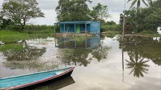 Emiten declaratoria de desastre natural para 44 municipios de Veracruz [upl. by Nareht]