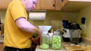 Pickled Fermented Celery  RAW Food Recipe for Tim Ferriss 4 Hour Body Slow Carb Diet [upl. by Annaes518]