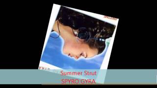 Spyro Gyra  SUMMER STRUT [upl. by Nikolos]