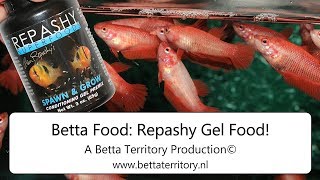 Betta Food Repashy Gel Food [upl. by Laikeze]