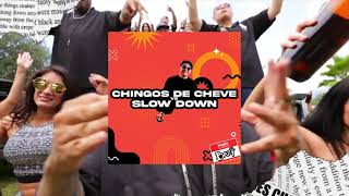 CHINGOS DE CHEVE vs SLOW DOWN bazy mashup  LINK GRATIS  HOUSE [upl. by Onitnevuj413]