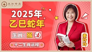 麦玲玲师傅详解2025蛇年运程：生肖猴！事业运、财运、人际关系、爱情、婚姻、健康全解析！ [upl. by Tannenbaum981]