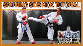 The Perfect Side Kick for Taekwondo Sparring  Van Roon Tutorial [upl. by Anytsirhc]