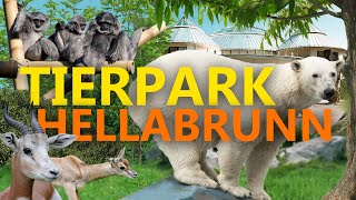 Tierpark Hellabrunn in München  ZooEindruck [upl. by Talbert]