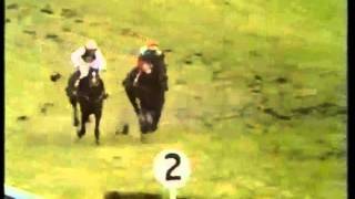 Monksfield The 1979 Champion Hurdle Cheltenham [upl. by Honorine944]