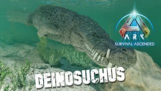 Taming A Deinosuchus  Ark Survival Ascended  The Center [upl. by Amaryl]