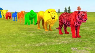 Long Slide Game With Elephant Gorilla Buffalo Hippopotamus Tiger  3d Animal Game  Funny 3d Animals [upl. by Nivlen]