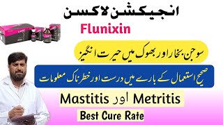 Loxin  Inj Flunixin Meglumine Ka استعمال صحیح Mastitis Metritis Aur بھوک Mein  Lameness pneumonia [upl. by Laban]