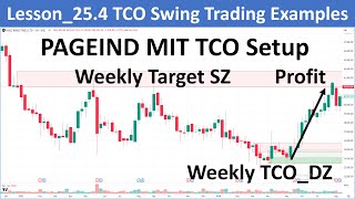 Lesson254 TCO Zone  Swing Trading Examples [upl. by Atirehs745]