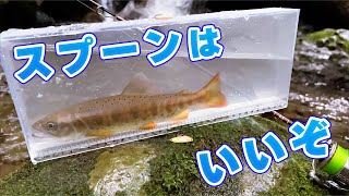 ミノーで釣れない時はスプーンを試してみて欲しい【渓流ルアー】 [upl. by Nolra]