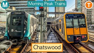 Transport for Sydney Vlog 840 Chatswood Station  Morning Peak Trains Part 2 [upl. by Tengdin657]