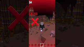 Armadillo furbo minecraft nezosecreto nezo [upl. by Anael]