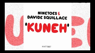 Ninetoes Davide Squillace  Kuneh Original Mix Head To Toe Tech House [upl. by Montgomery]