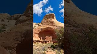 Cliff Dwelling Canyon of the Ancient National Monument 🏜️🏔️🇺🇸 hiking colorado travel [upl. by Delos]