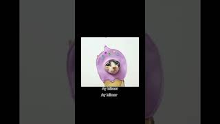 IM ONLY UN POCO LOCOthe songs from coco pocoloco w cats meme trend youtube catpocolocococo [upl. by Olav311]