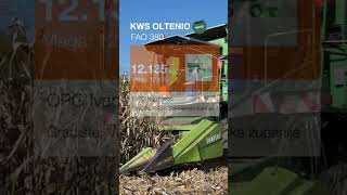 KWS OLTENIO novitet za proljetnu sjetvu agriculture agro kws kukuruz [upl. by Karolyn]