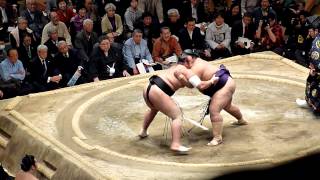 Sadanofuji 69  Osunaarashi 96  Sumo  Hatsubasho 14 [upl. by Undry751]