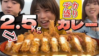 【デカ盛り】25キロ大盛りカレーを爆食せよ【インディカレーハウス】【大食い】 [upl. by Lightfoot]