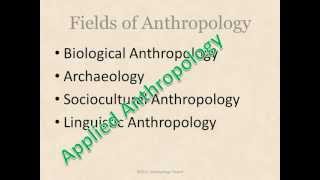 What is Anthropology [upl. by Austina]