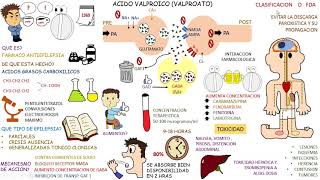 Farmacologia Antiepilepticos VALPROATO [upl. by Magena316]