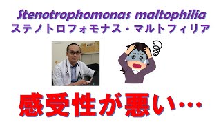 Stenotrophomonas maltophiliaの薬剤感受性を深掘りします！ [upl. by Floyd]