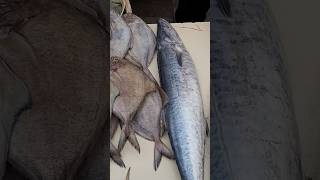 Mumbai malad fish market latest video fishing shorts [upl. by Melita237]