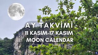 AY TAKVİMİNE GÖRE EKİM DİKİM BAHÇE İŞLERİ 11 KASIM17 KASIM 2024 MOON CALENDAR [upl. by Neih]