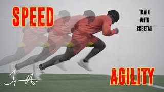 Speed amp Agility Training Session  Tyreek Hill  quotTrain with Cheetahquot [upl. by Slin100]