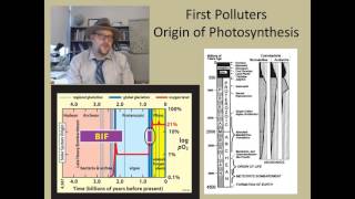 What are some of the problems in studying fossil plants [upl. by Ollehto]