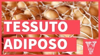 Tessuto adiposo dalla fisiologia al dimagrimento [upl. by Dido785]