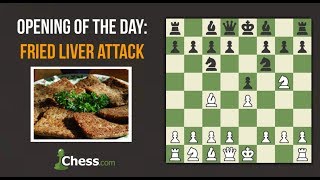 Fried Liver Attack  Chess Openings [upl. by Cohn]