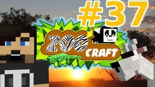 Un gars et une chèvre  ZOOCRAFT 37  Minecraft FR HD Guss [upl. by Sergeant]