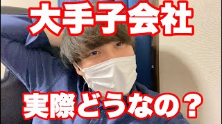 【就活転職】大手企業の子会社って実際どうなの？ [upl. by Ojiram172]