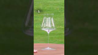 Wine Glass Shapes [upl. by Savihc670]