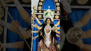 Ma Durga 🤍🤍🤍🤍 song love trending youtubeshorts souravjoshivlogs7028 TrakinTech cat videos [upl. by Ferdinand]