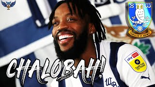 NATHANIEL CHALOBAH SIGNS FOR SHEFFIELD WEDNESDAY  TW Clips [upl. by Erdnaxela]