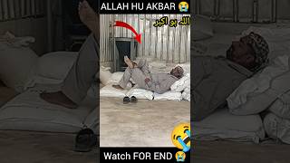 HUSNAIN BHAI FAKIEH VLOG foryou tranding popular virlvideo allahuakabar gesibaglari [upl. by Irwin588]