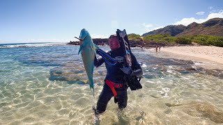 Caught My Biggest Uhu  Beach Day With Girlfriend  Spearfishing Hawaii GETIT [upl. by Moynahan560]