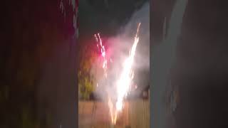 Fireworks 2024 🎆🎇 viralshort love traveldiarybyparkhakhan londondiary england trending india [upl. by Golda968]