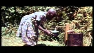 Documentary Wangari Muta Maathai 1940  2011 [upl. by Katey]