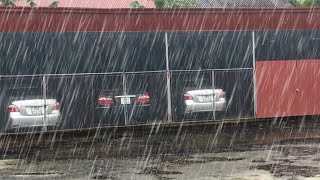 Heavy Rain and Torrential Thunder on Car Parking Lot in the Park  Rainstorm Sounds for Sleeping [upl. by Cicero]